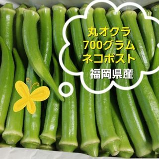 丸オクラ　700g　福岡県産(野菜)