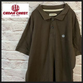 CEDARCREST Tシャツ　ポロシャツ メンズ　レディース　[ L ](ポロシャツ)