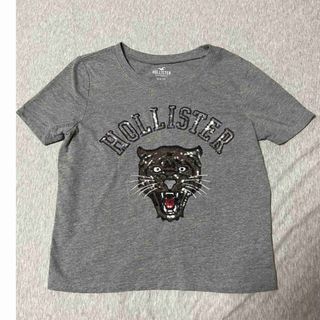 ホリスター(Hollister)のホリスター　チビTシャツ(Tシャツ(半袖/袖なし))