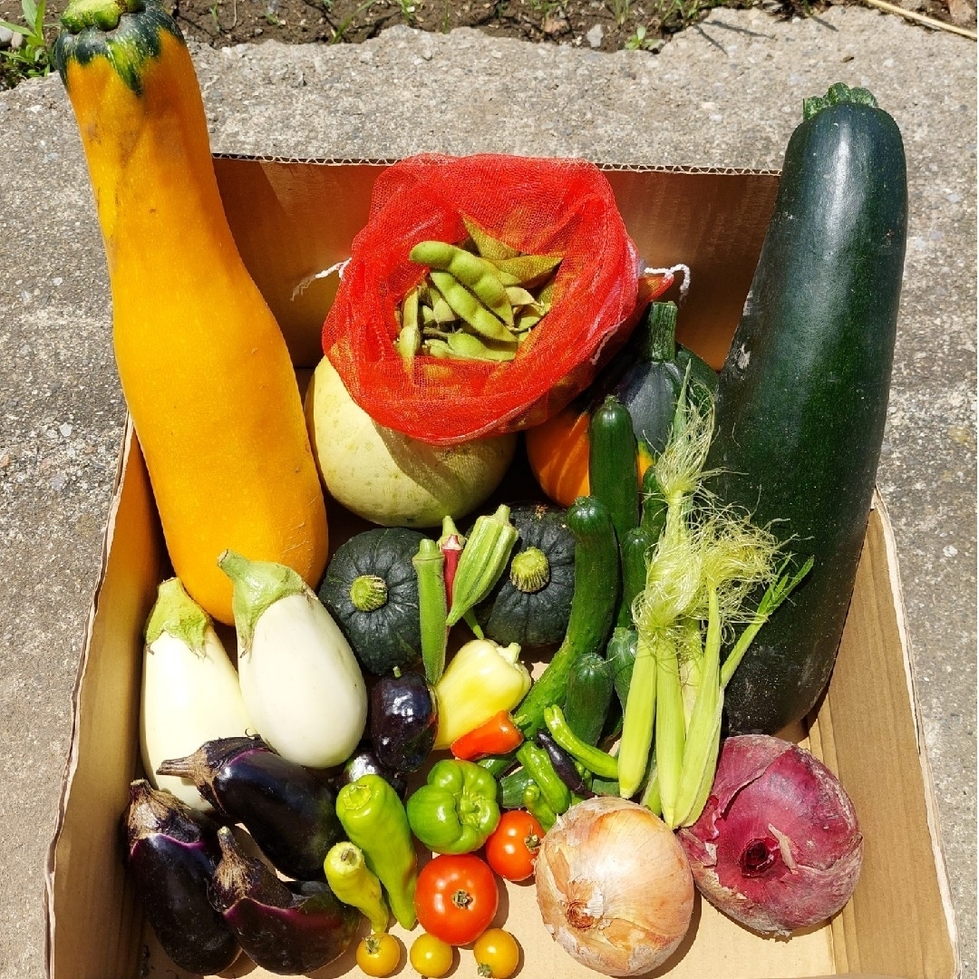 おまかせ野菜詰め合わせBOX【L】 食品/飲料/酒の食品(野菜)の商品写真