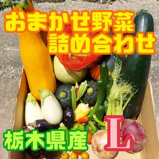 おまかせ野菜詰め合わせBOX【L】(野菜)