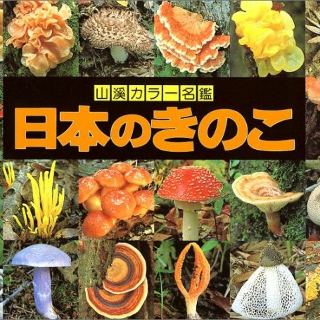 ２週間完成英検４級攻略本 改訂新版/アルク（千代田区）/隅田朗彦