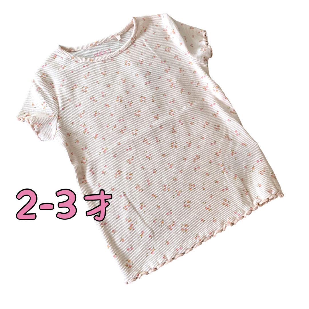 NEXT(ネクスト)の●未使用●2-3才　クリーム　小花柄　リブTシャツ キッズ/ベビー/マタニティのキッズ服女の子用(90cm~)(Tシャツ/カットソー)の商品写真