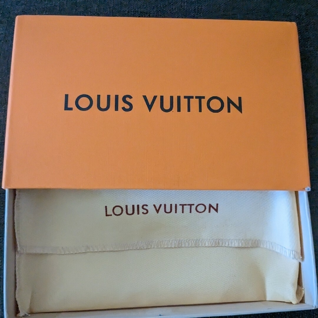 LOUIS VUITTON(ルイヴィトン)のルイヴィトン　空箱　保存袋 レディースのバッグ(ショップ袋)の商品写真