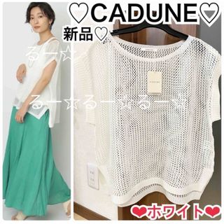 組み合わせ自由自在 cadune カデュネ メッシュニット ホワイト 38