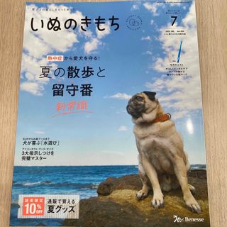 いぬのきもち7月号(犬)