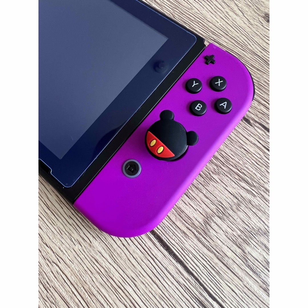 ニンテンドースイッチ 公式カスタマイズ品