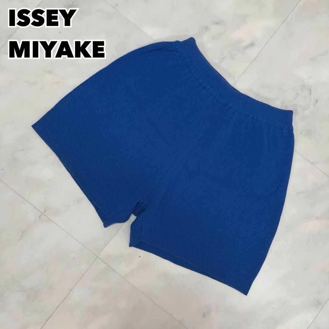 80s ISSEY MIYAKE イッセイミヤケ ショートパンツ ニット 筆タグ-