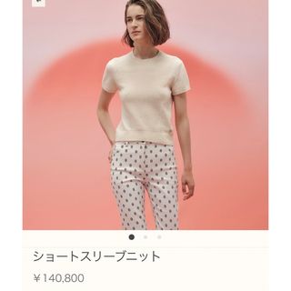 エルメス(Hermes)のエルメス　ショートスリーブニット23ss(カットソー(半袖/袖なし))