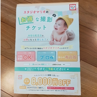 キタムラ(Kitamura)のスタジオマリオ　8000円OFFクーポン　割引券(その他)
