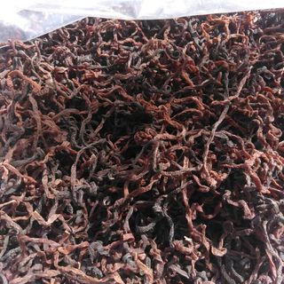 高知産 乾燥天然ぜんまい 1Kg 中~大 令和5年度産-