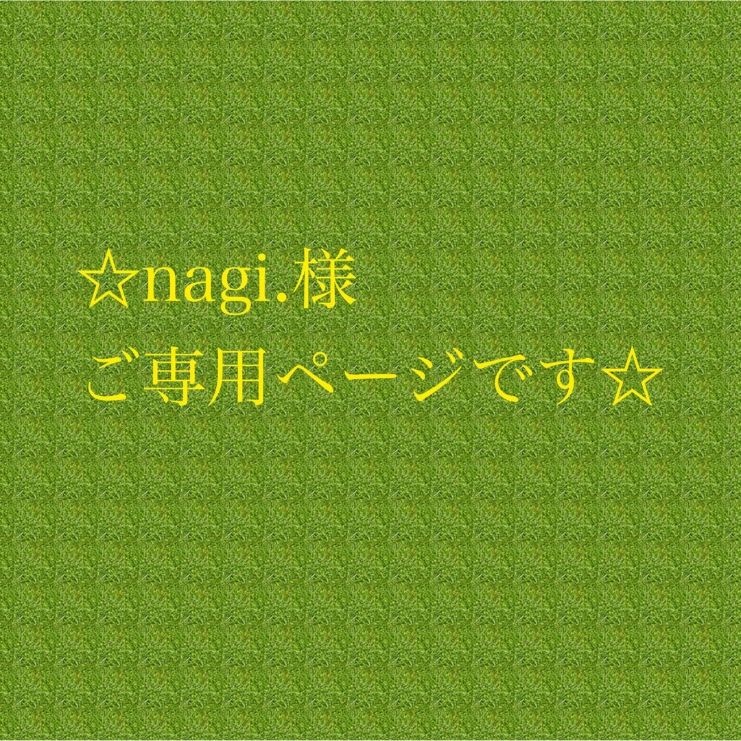 返品送料無料 ☆nagi.様のみのページです☆- あさみさん ☆nagi.様のみ
