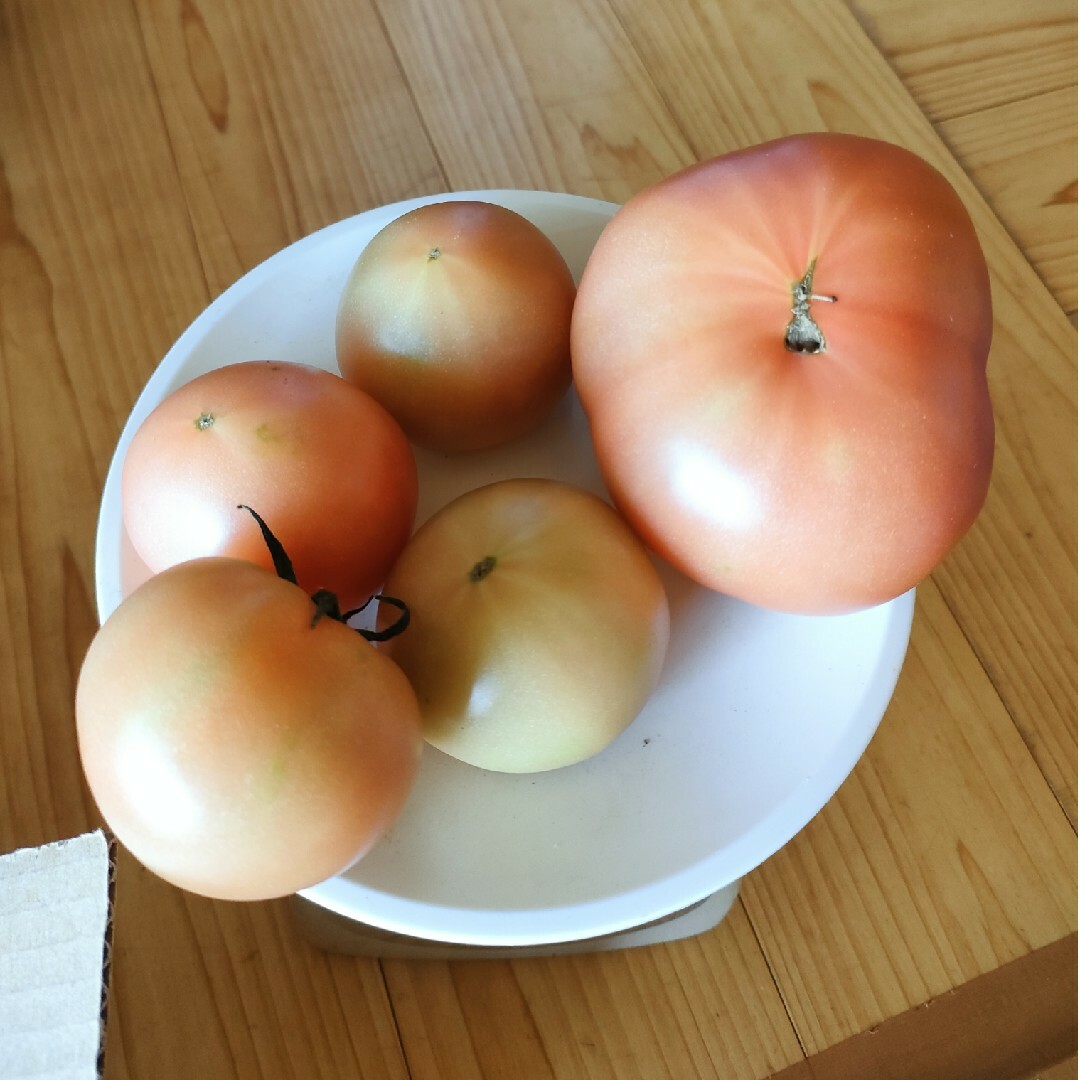 ともにゃおん様　麗月トマト2キロ 食品/飲料/酒の食品(野菜)の商品写真