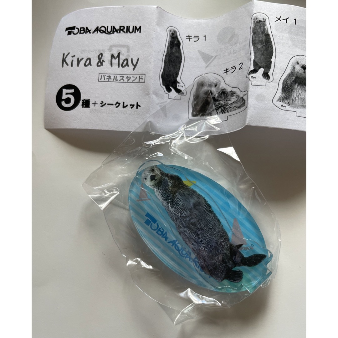 鳥羽水族館　Kira&May パネルスタンド　キラ1 エンタメ/ホビーのコレクション(その他)の商品写真