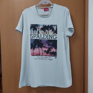 スポルディング(SPALDING)のスポルディング　Tシャツ(Tシャツ(半袖/袖なし))