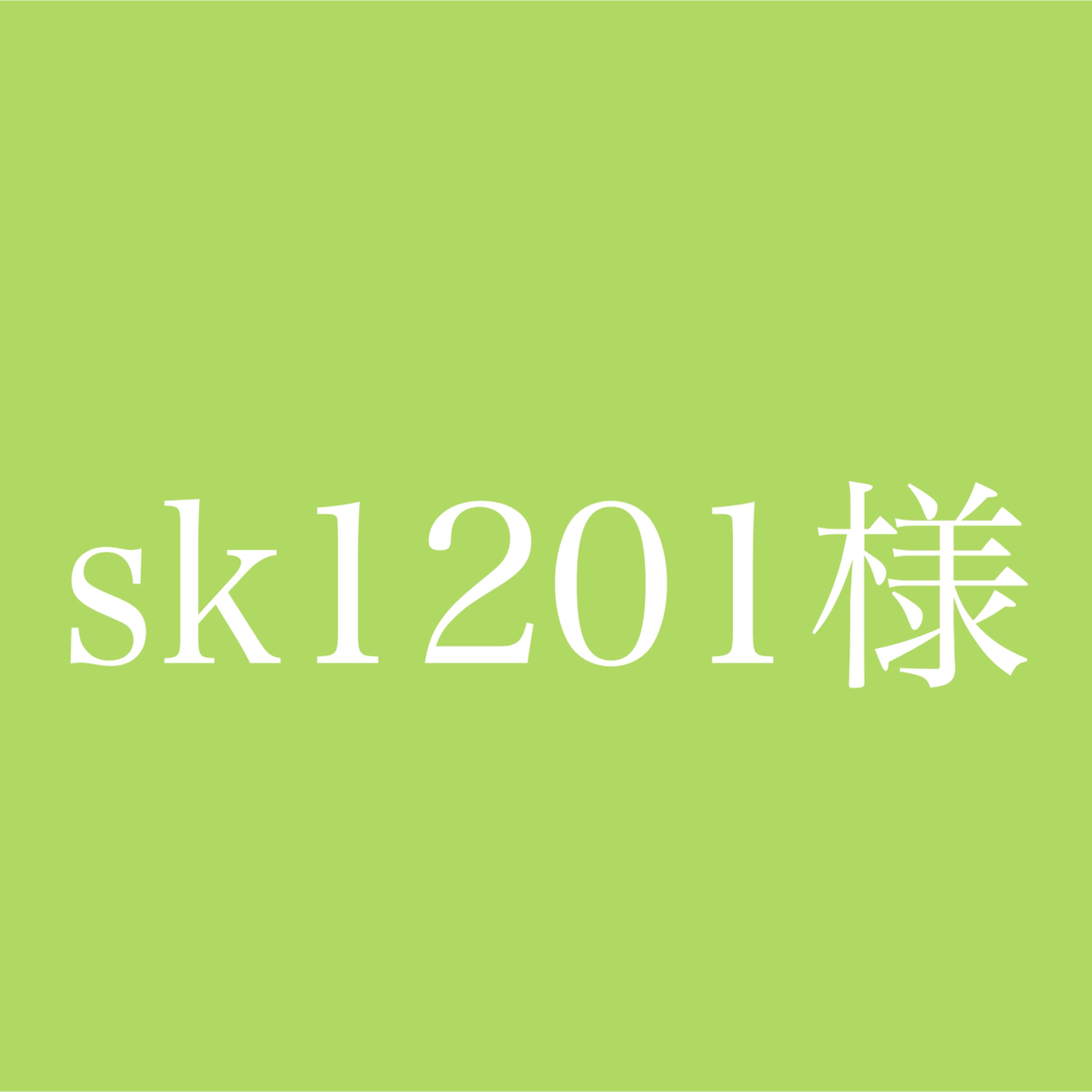 sk1201ページ