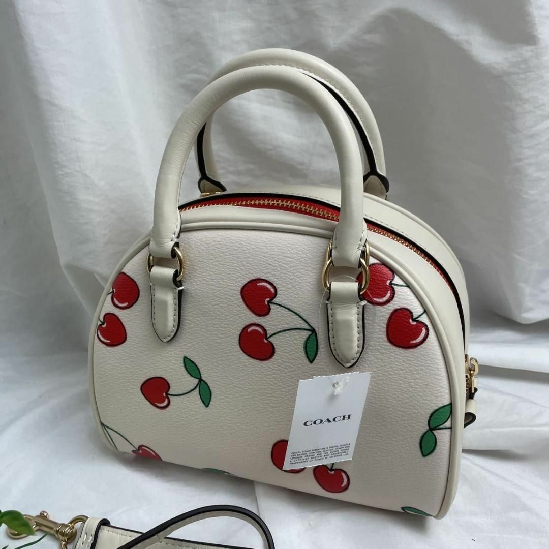 COACH レザー チェリー ミニ ドーム サッチェル 2Way CF421-