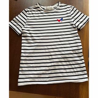 エトレセシル(Etre Cecile)のエトレセシル  ETRE CECILE Tシャツ(Tシャツ(半袖/袖なし))