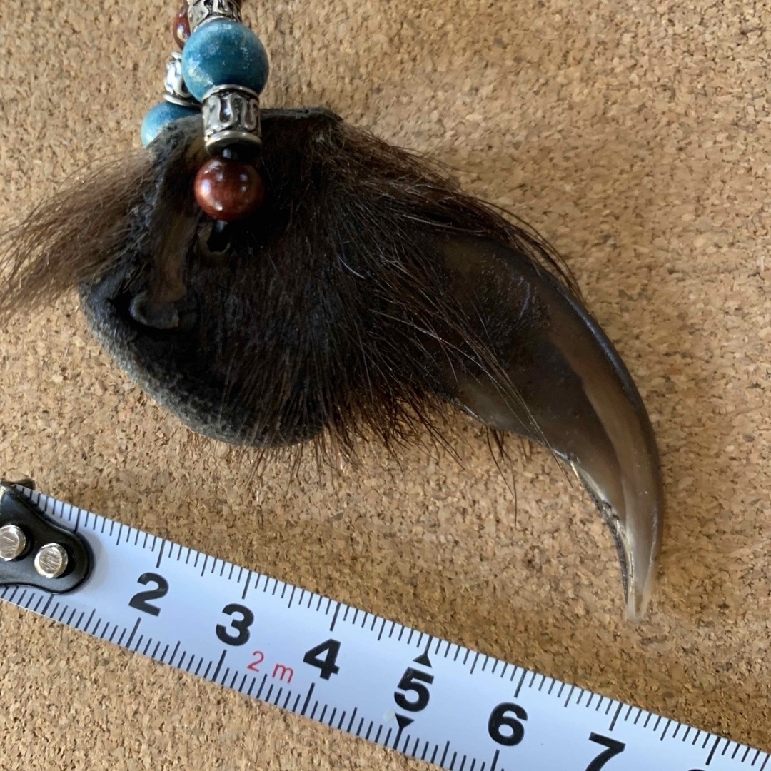熊爪 ヒグマ爪キーホルダー ⑥の通販 by イチネル's shop|ラクマ 熊爪 ヒグマ爪キーホルダー ⑥の通販 by イチネル's shop|ラクマ