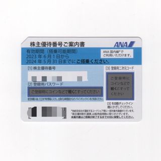 エーエヌエー(ゼンニッポンクウユ)(ANA(全日本空輸))のANA株主優待券1枚　2024年5月31日　①(航空券)