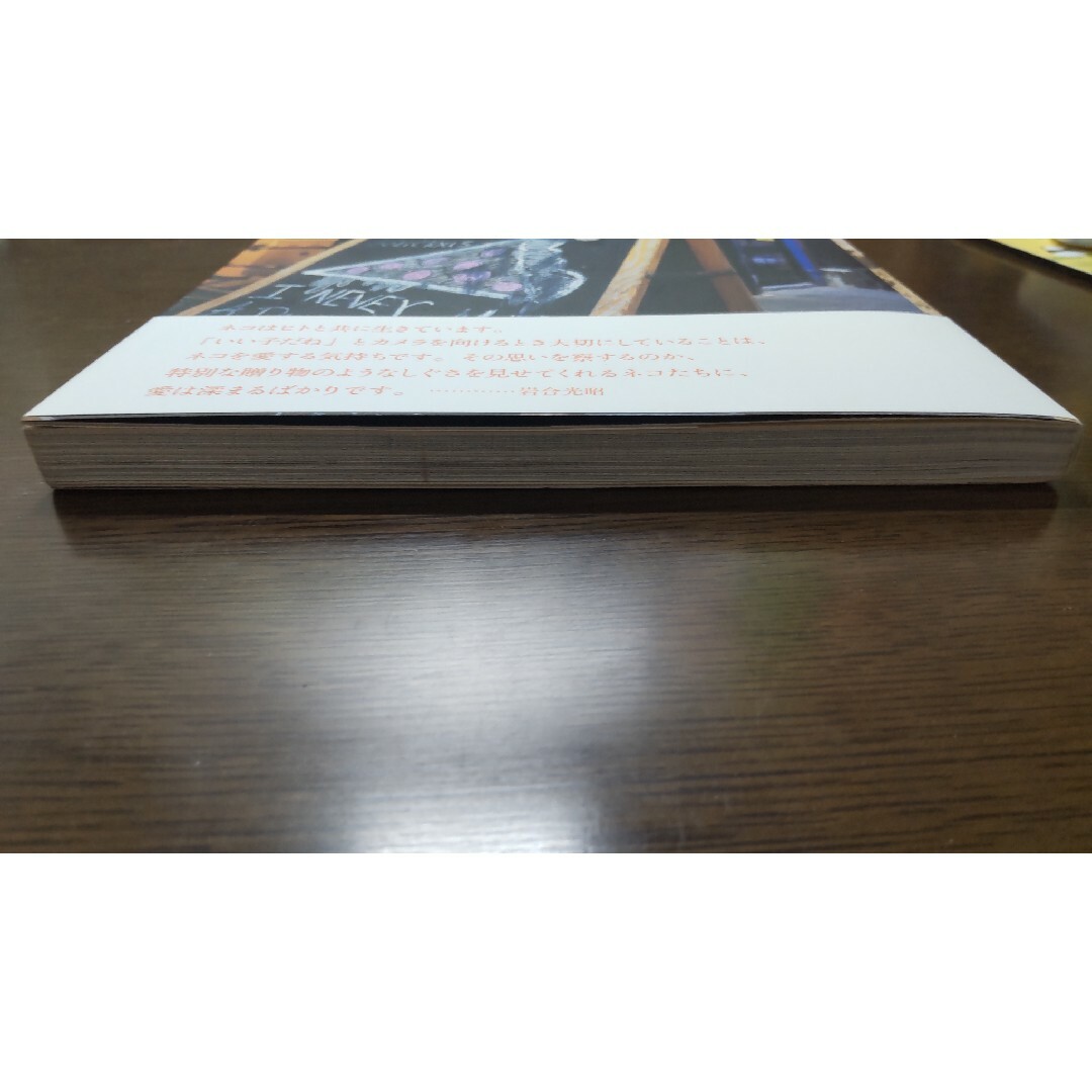 【sky様専用】岩合光昭の世界ネコ歩き2 エンタメ/ホビーの本(アート/エンタメ)の商品写真