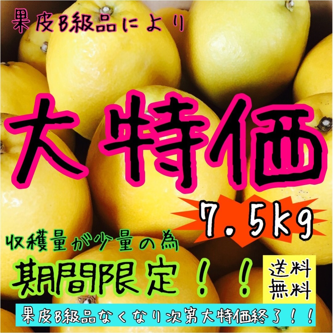 【えひめ産】《訳あり》かわちばんかん《河内晩柑》みかん蜜柑ミカン柑橘 食品/飲料/酒の食品(フルーツ)の商品写真