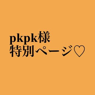 ポケモン(ポケモン)のpkpk様 特別ページ♡(キャラクターグッズ)