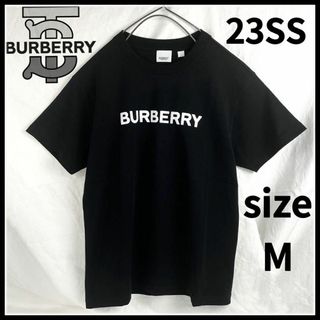 BURBERRY バーバリー ロゴTシャツ ブラック XL 23SS新作 | bjland.ws