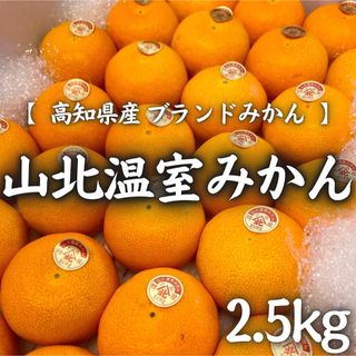 4高知県産 山北温室みかん 2.5kg ハウス ギフト 贈り物 サイズおまかせ(フルーツ)