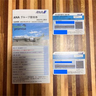 エーエヌエー(ゼンニッポンクウユ)(ANA(全日本空輸))のANAグループ優待券　株主優待券2枚(その他)