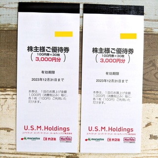 USMH ユナイテッド スーパーマーケット 株主優待券 6000円分(ショッピング)