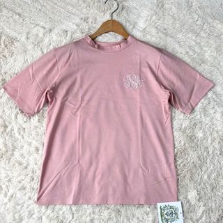 チェスティ(Chesty)のセブテン　Tシャツ　S(Tシャツ(半袖/袖なし))