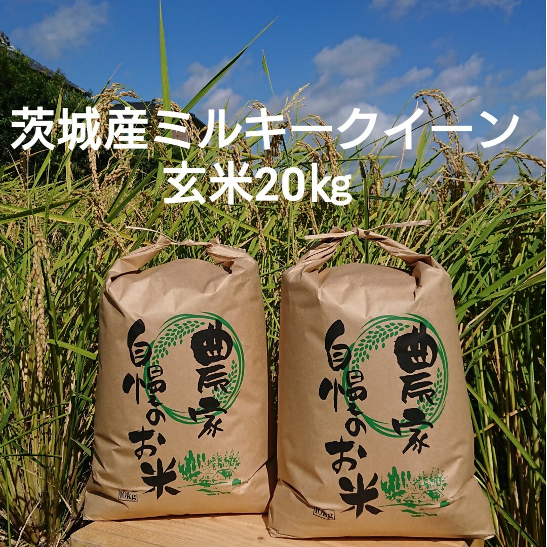 茨城令和4年産ミルキークイーン玄米20kg食品/飲料/酒