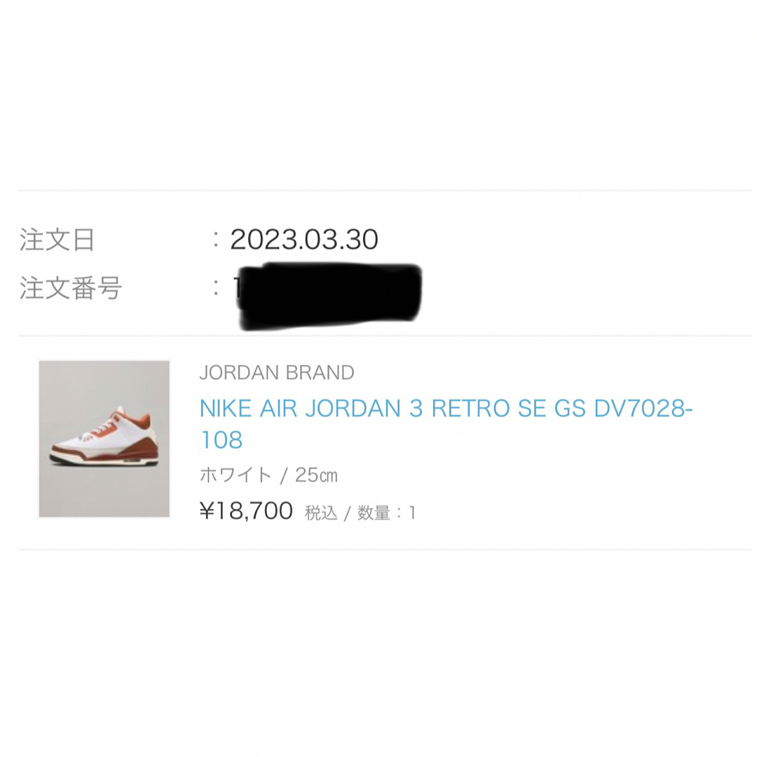 Jordan Brand（NIKE）(ジョーダン)のNIKE AIR JORDAN 3 RETRO SE GS DV7028-108 レディースの靴/シューズ(スニーカー)の商品写真