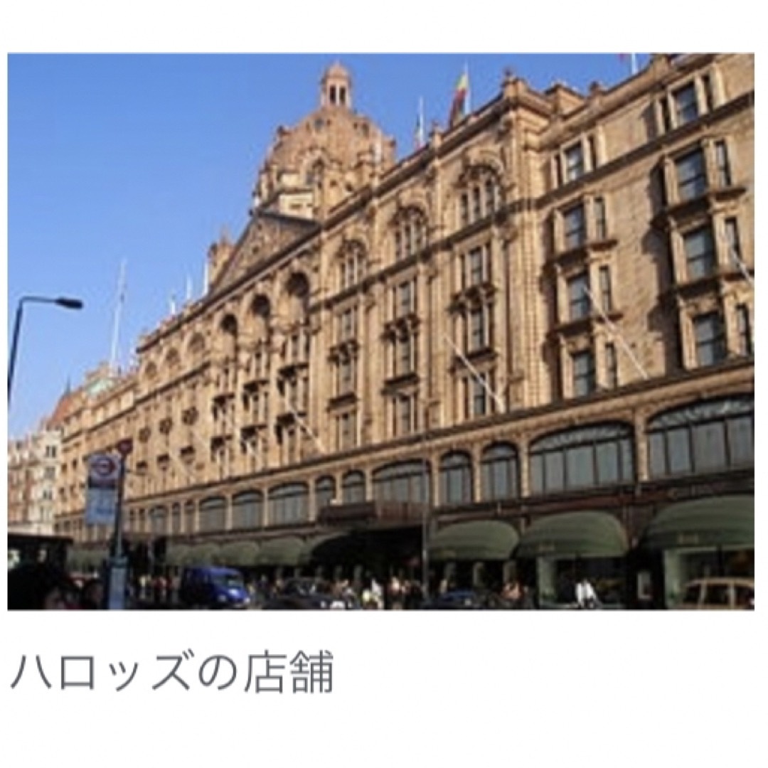 Harrods(ハロッズ)のハロッズ ウェスティ❤キーリング/キーチャーム♡ Harrods 新品タグ付 レディースのアクセサリー(チャーム)の商品写真