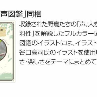 リズムRHYTHM 掛け時計 電波 アナログ 連続秒針 野鳥の声 メロディ