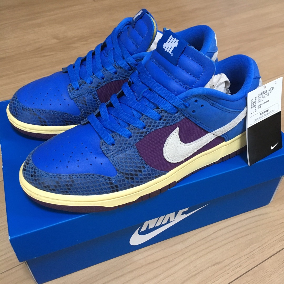 メンズNIKE × UNDEFEATED DUNK LOW SP