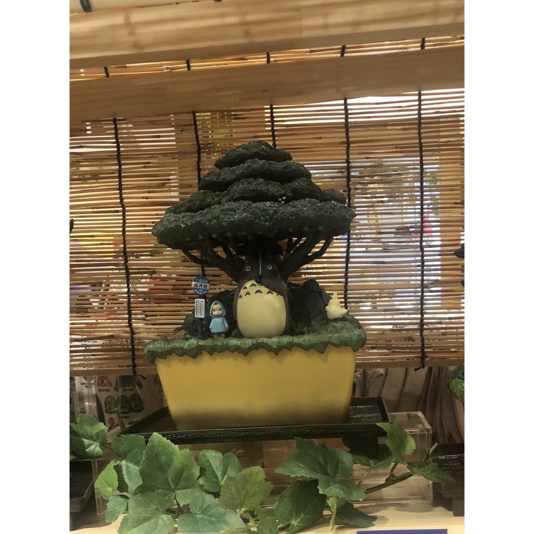 新品未使用　となりのトトロ　ウォーターガーデンBONSAI 笠宿