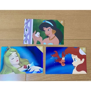 ディズニー(Disney)のディズニーストア25周年ポストカード　プリンセス(写真/ポストカード)