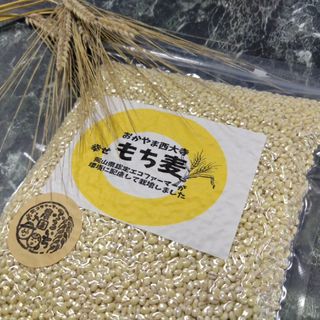 新物✨令和5年産もち麦(キラリモチ)500ｇ(米/穀物)