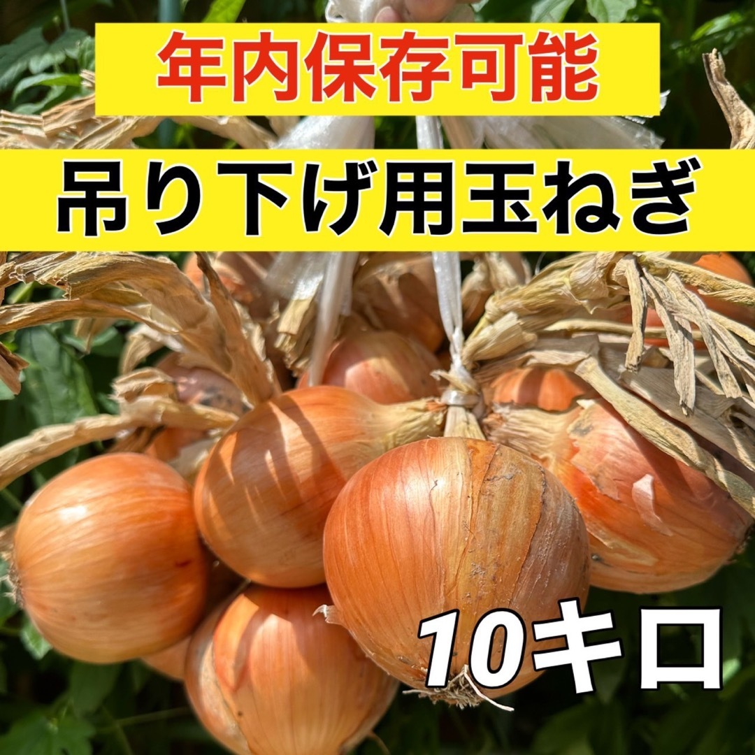 吊り下げ保存玉ねぎ‼️10キロ入り‼️ 食品/飲料/酒の食品(野菜)の商品写真