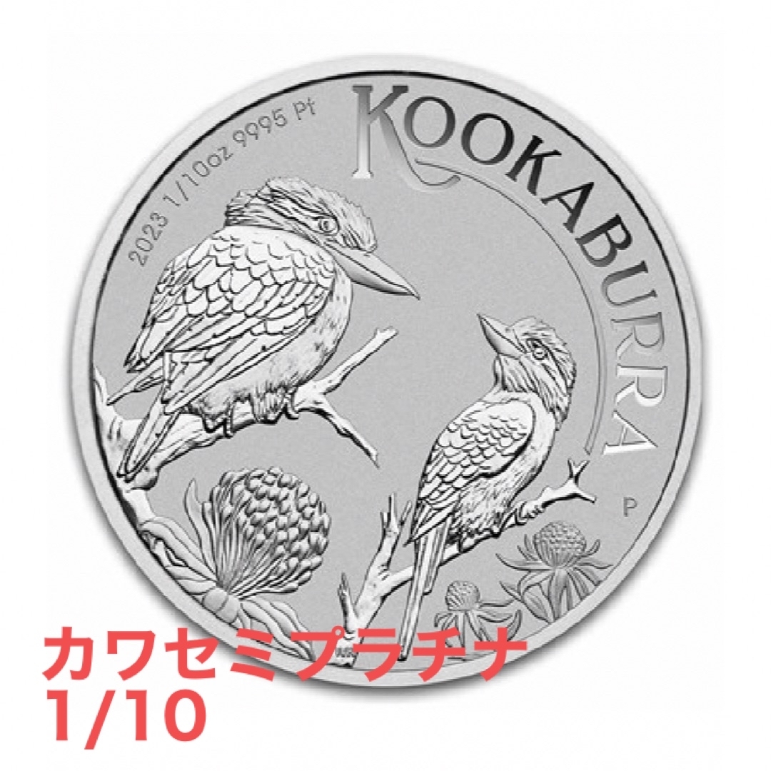 金属工芸2023年　カワセミプラチナ　kookaburra 1/10 1枚