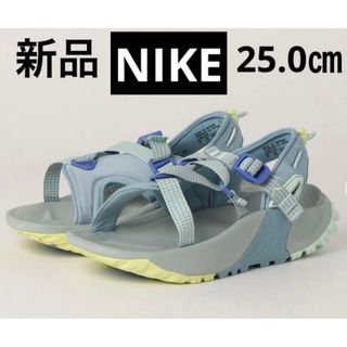 ナイキ(NIKE)の【新品未使用】NIKE ナイキ　オニオンタサンダル　ブルー　２５cm(サンダル)