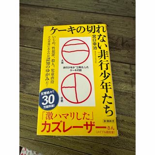 ケーキの切れない非行少年たち(その他)