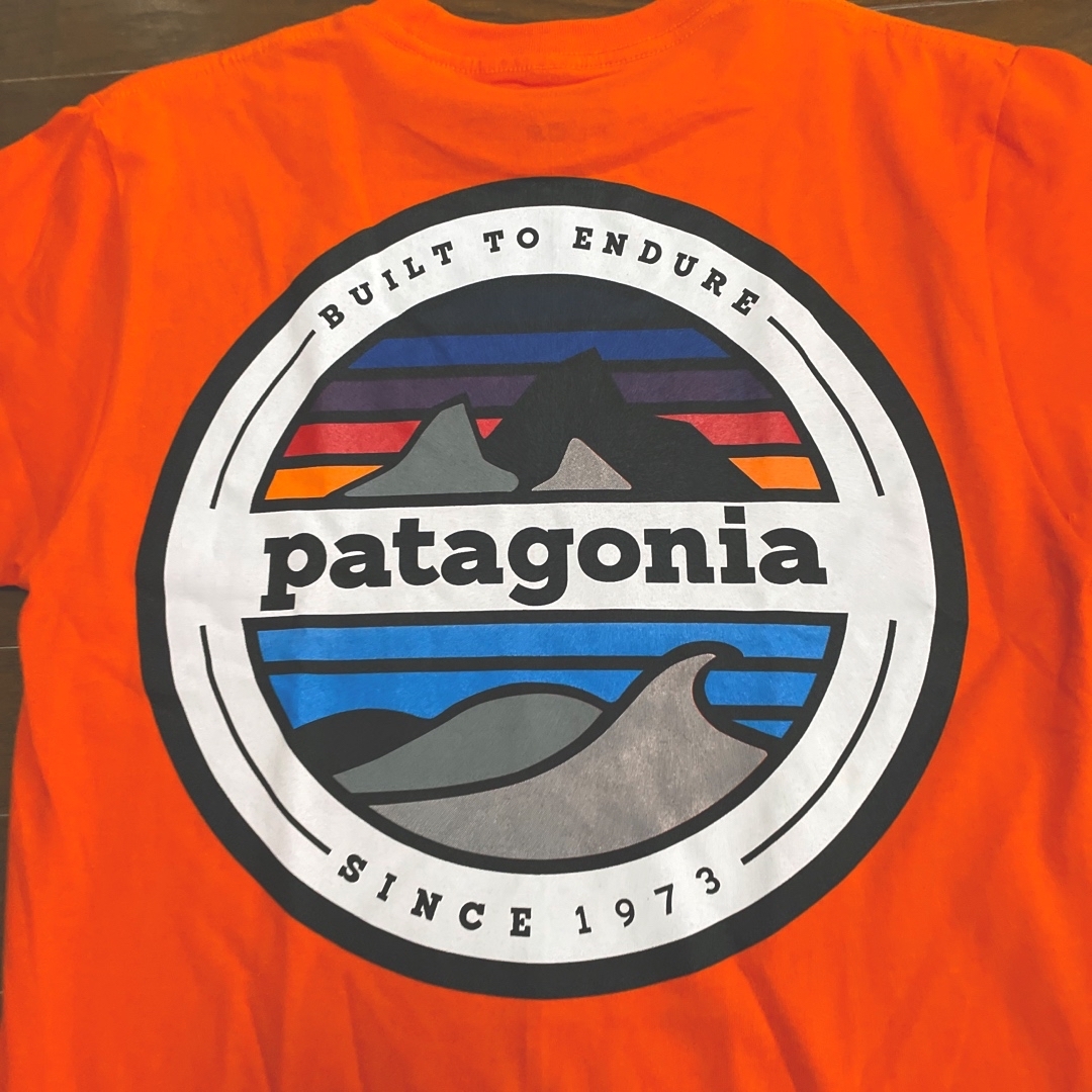 値下げ❗️patagonia プリントTシャツ メンズのトップス(Tシャツ/カットソー(半袖/袖なし))の商品写真