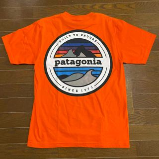 値下げ❗️patagonia プリントTシャツ(Tシャツ/カットソー(半袖/袖なし))