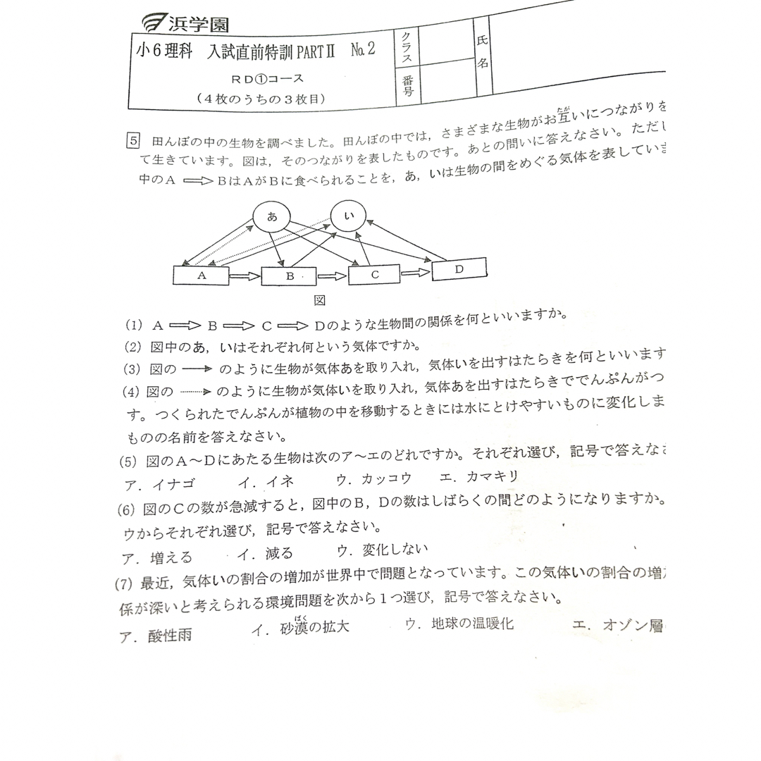 浜学園 小6 入試直前特訓 PART2 国語、算数、理科 復習テストの 浜学園 小6 入試直前特訓 PART2 国語、算数、理科 復習テストの