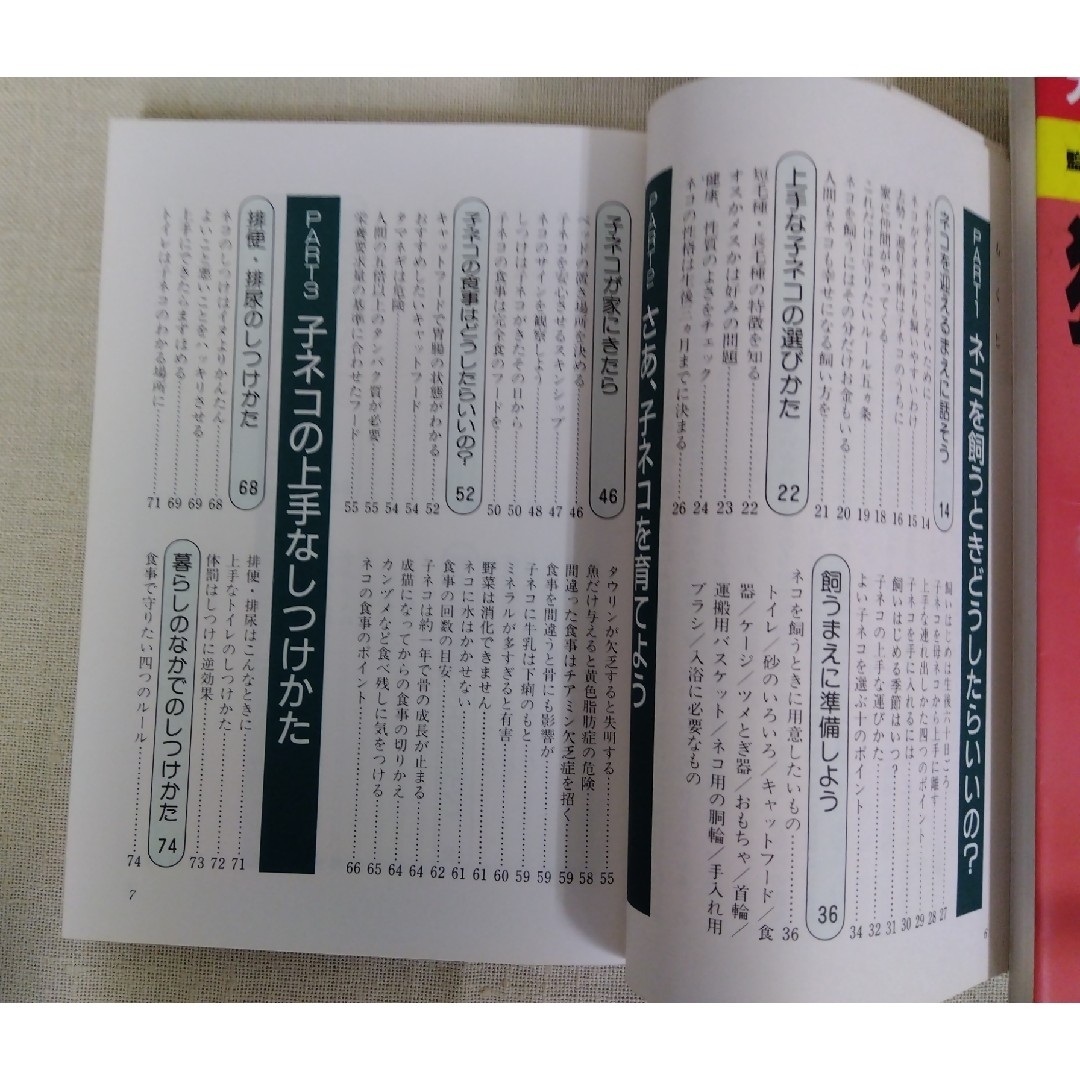 猫の飼い方 子猫の選び方から食事・手入れ・しつけ・健康管理まで エンタメ/ホビーの本(その他)の商品写真