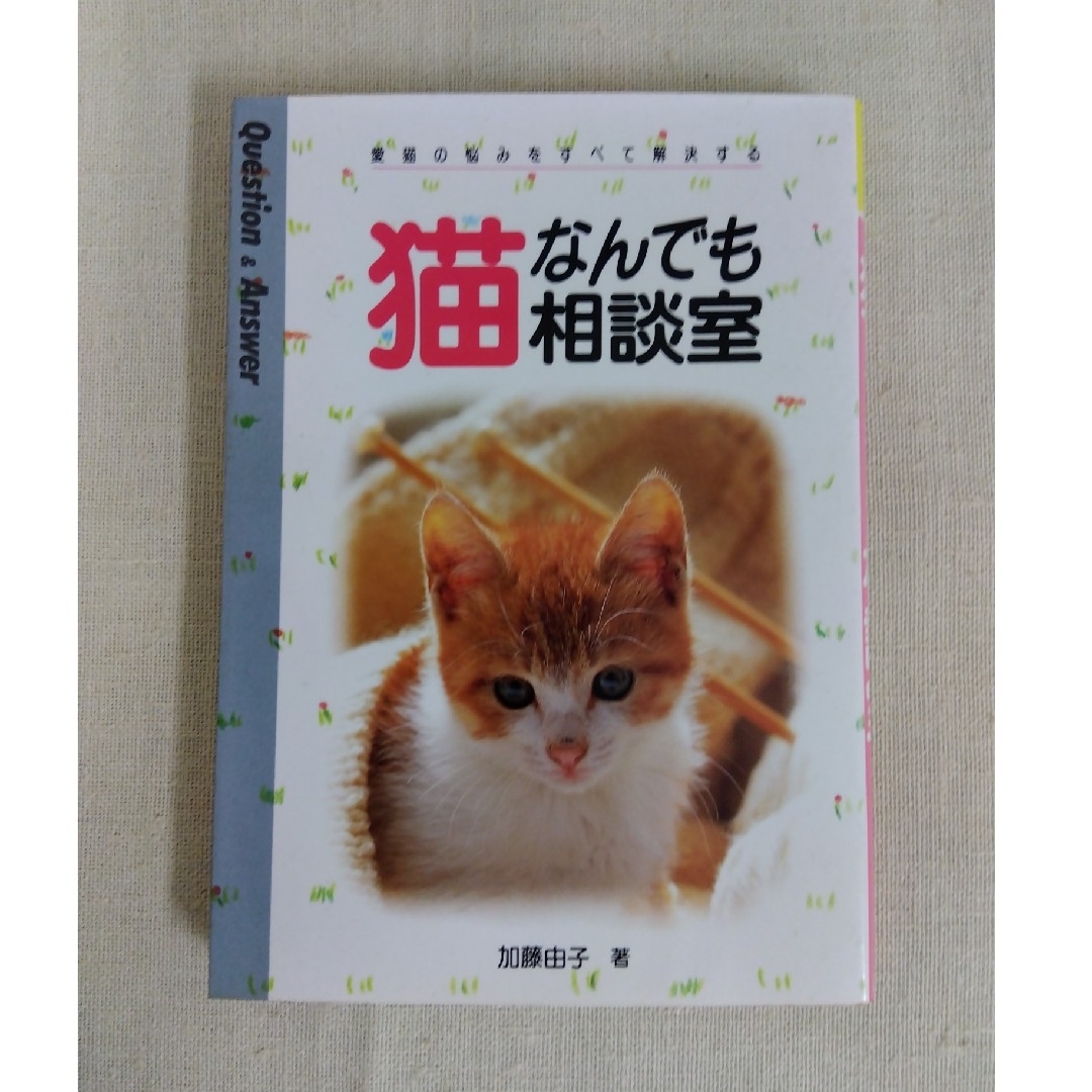 猫なんでも相談室 愛猫の悩みをすべて解決する エンタメ/ホビーの本(住まい/暮らし/子育て)の商品写真