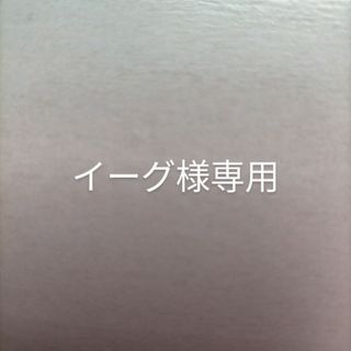 トウホクラクテンゴールデンイーグルス(東北楽天ゴールデンイーグルス)の8/30 西武戦ペアチケット(野球)